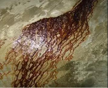 首页-UG全球视讯厅官方网站