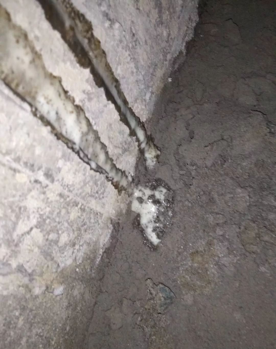 首页-UG全球视讯厅官方网站