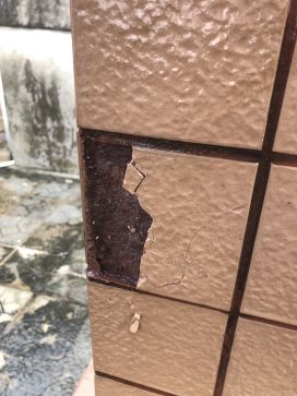 首页-UG全球视讯厅官方网站