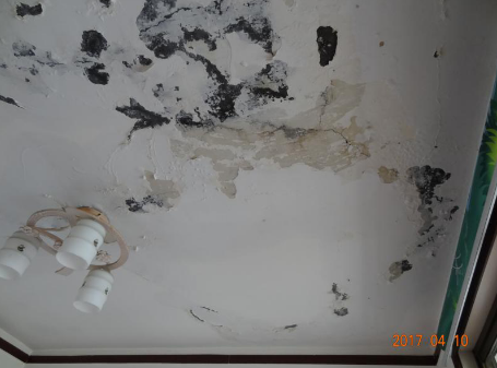 首页-UG全球视讯厅官方网站