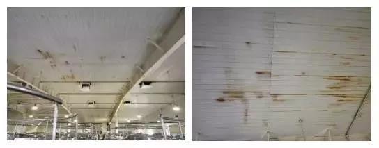 首页-UG全球视讯厅官方网站