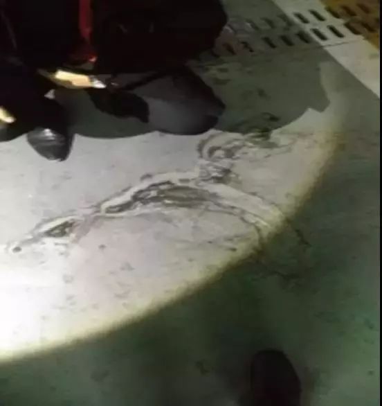 首页-UG全球视讯厅官方网站