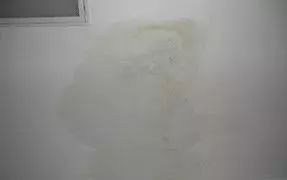 首页-UG全球视讯厅官方网站