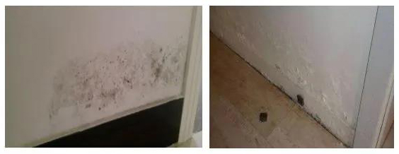 首页-UG全球视讯厅官方网站