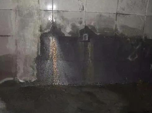 首页-UG全球视讯厅官方网站