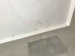 首页-UG全球视讯厅官方网站