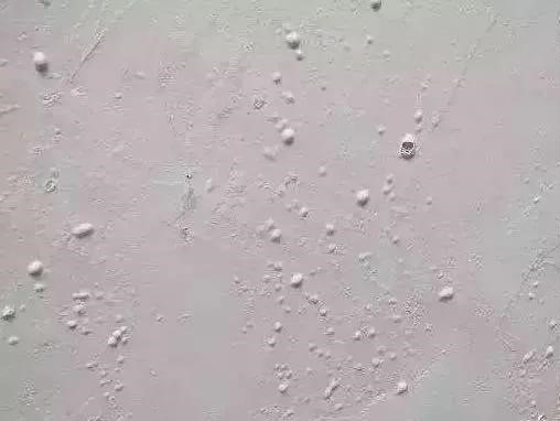 首页-UG全球视讯厅官方网站