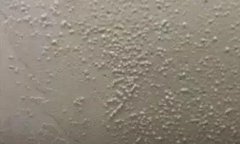 首页-UG全球视讯厅官方网站