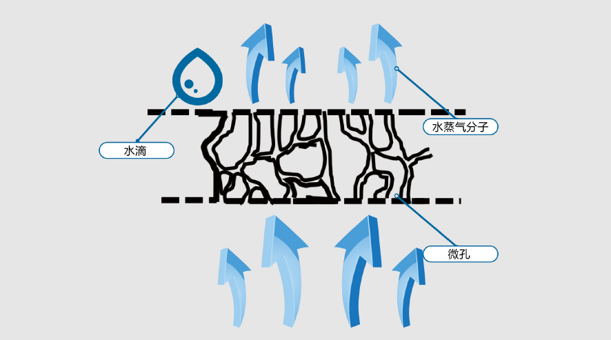 首页-UG全球视讯厅官方网站